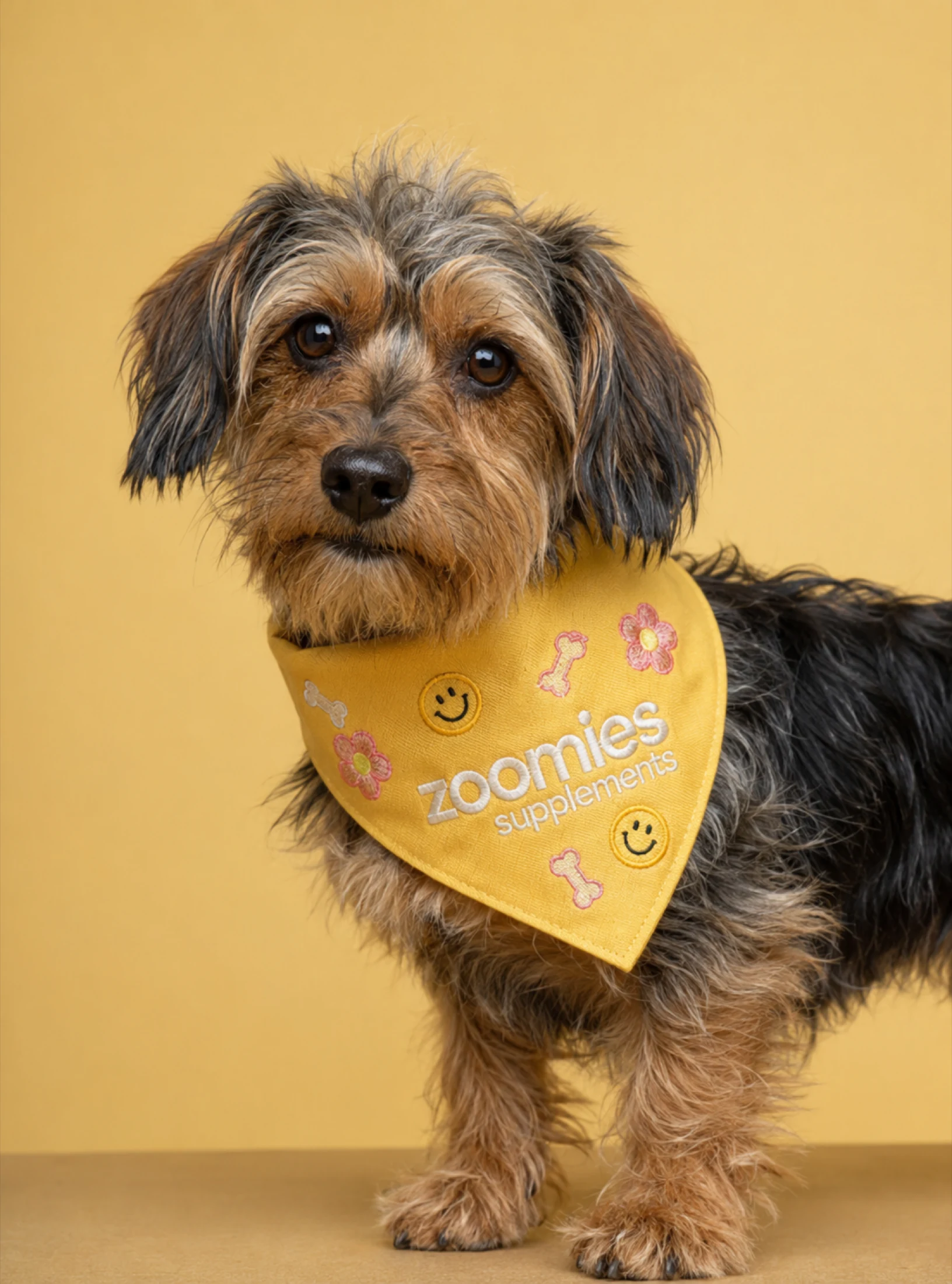 Zoomies packaging and campaign